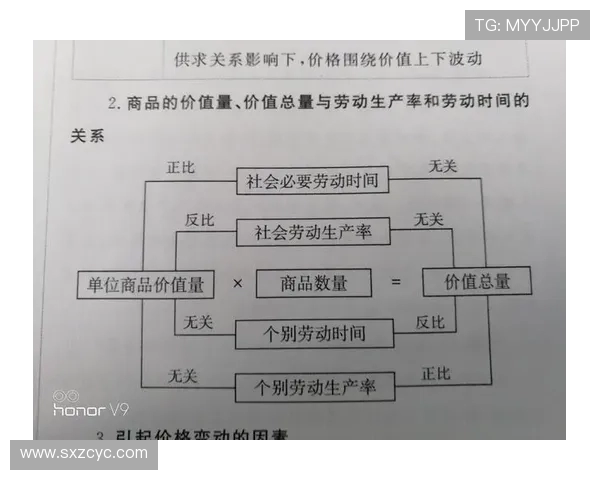 马素与有但的对决探讨两者在现代社会中的影响与价值